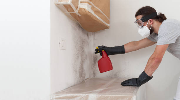 Professional Crawl Space Mold Remediation technician working in Camden, NJ