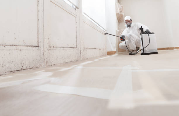 24/7 Emergency Crawl Space Mold Remediation experts in Camden, NJ